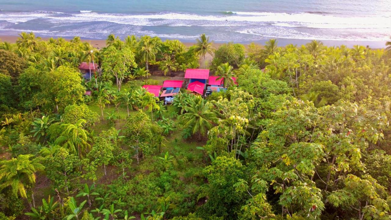 Tortuga Bay Eco Hotel El Valle  Kültér fotó