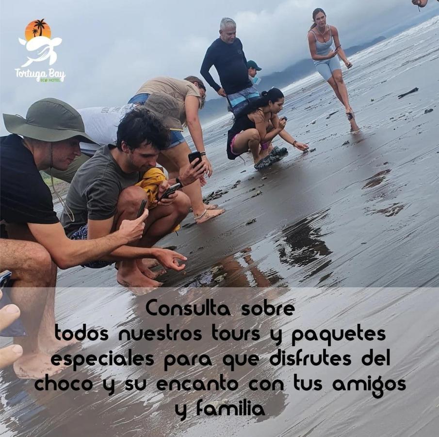 Tortuga Bay Eco Hotel El Valle  Kültér fotó
