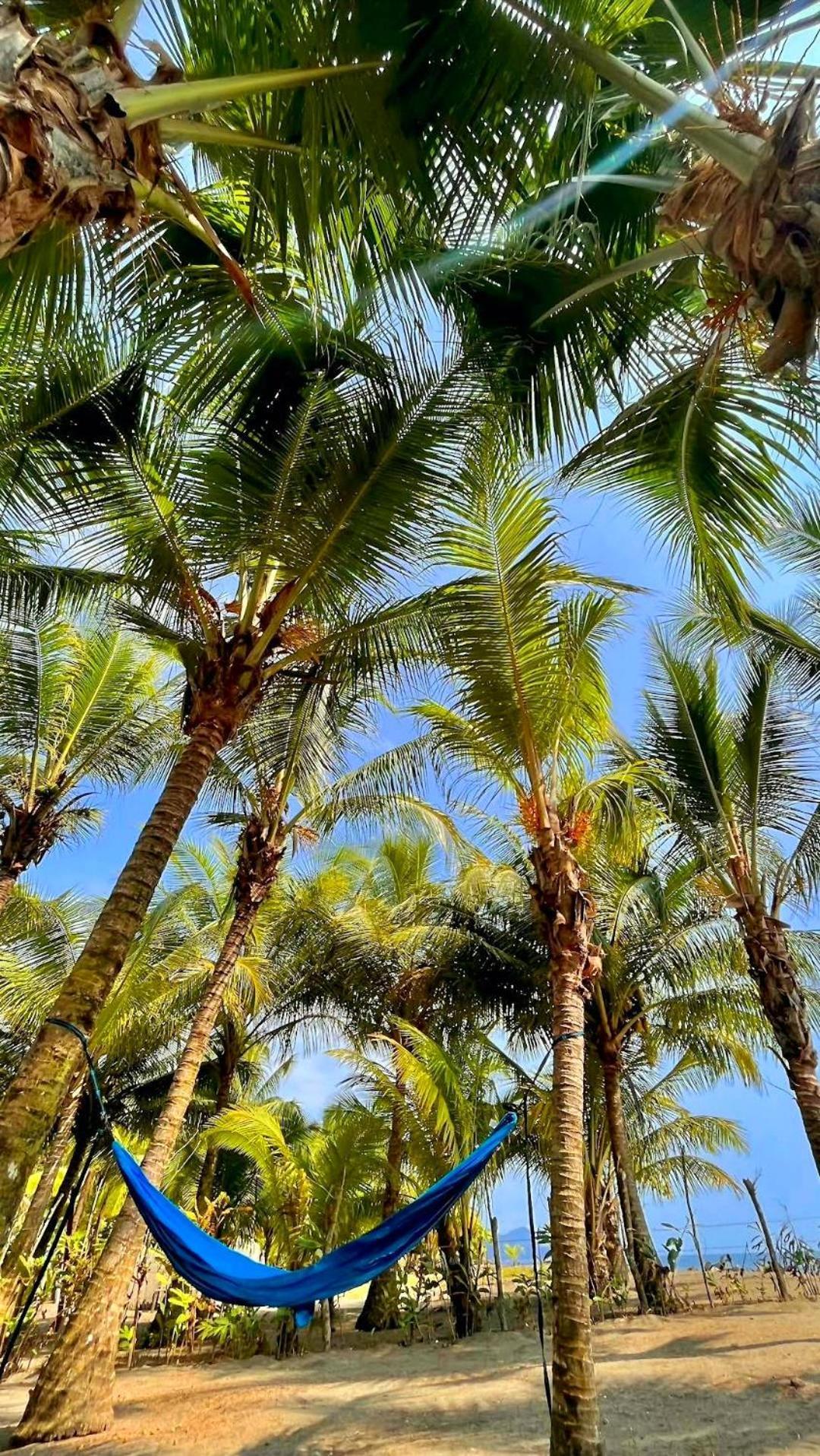 Tortuga Bay Eco Hotel El Valle  Kültér fotó