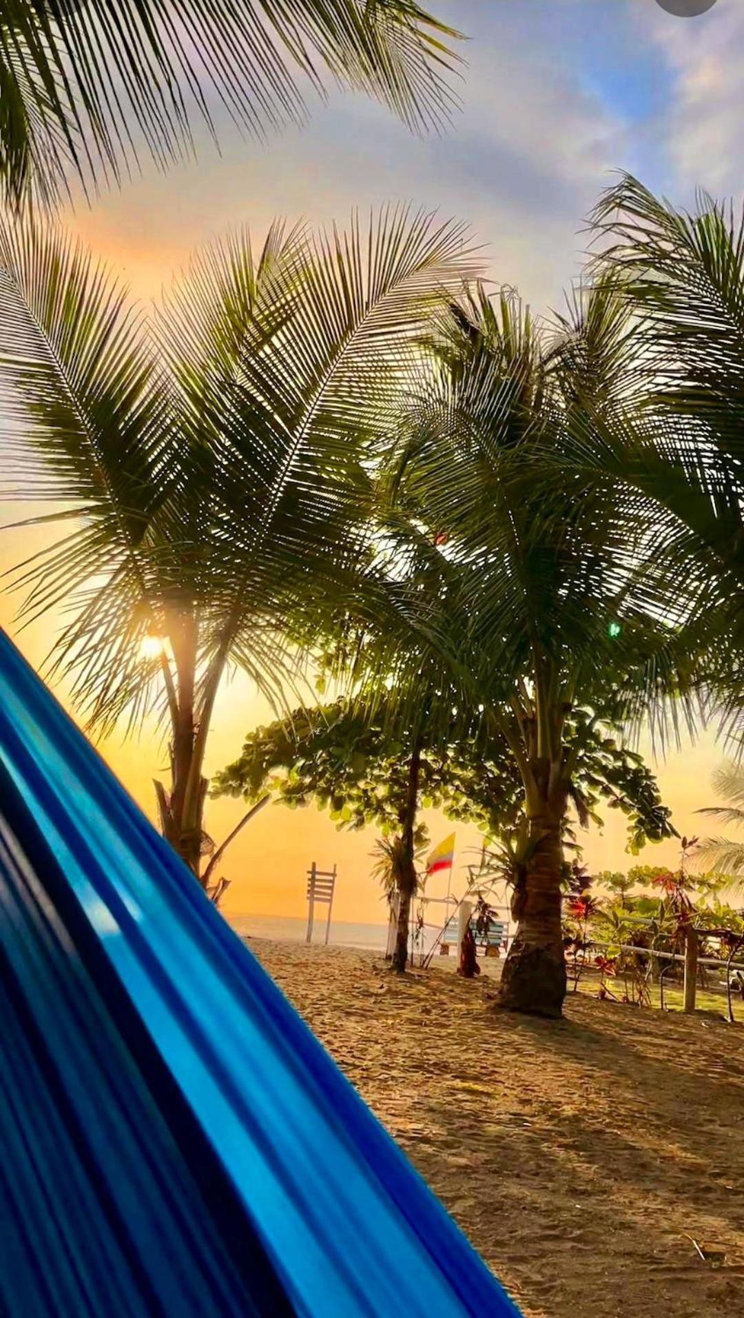 Tortuga Bay Eco Hotel El Valle  Kültér fotó