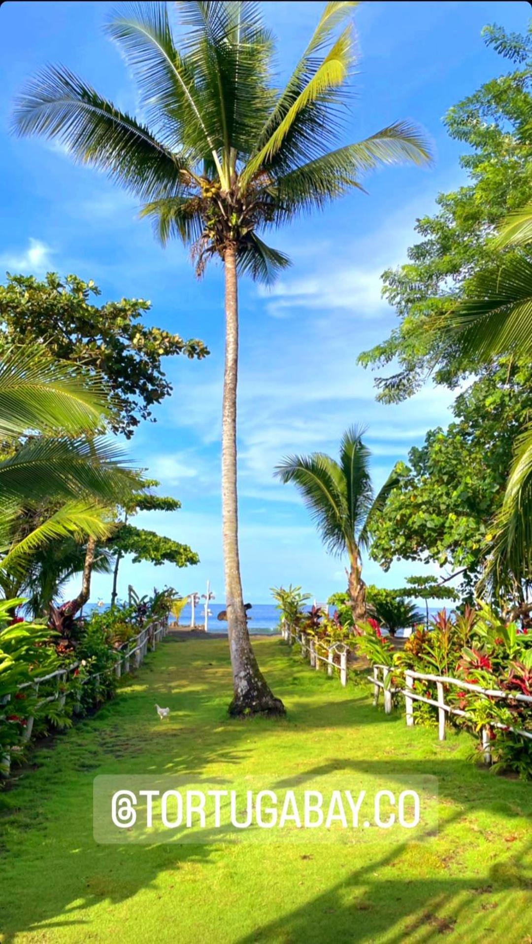 Tortuga Bay Eco Hotel El Valle  Kültér fotó